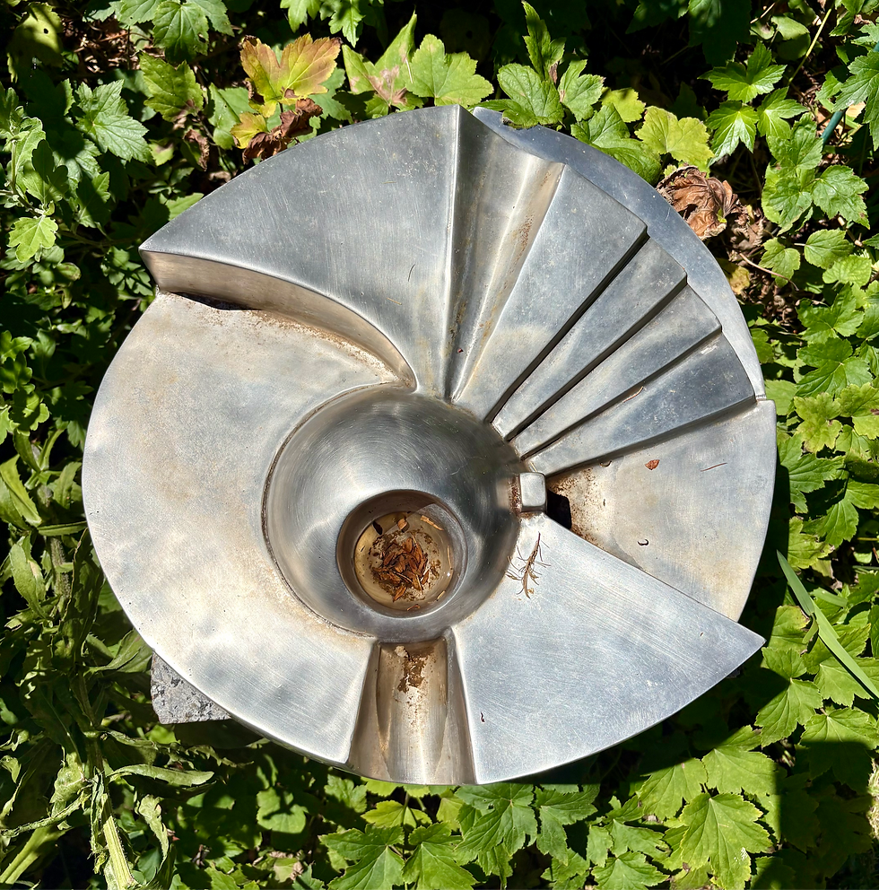 SKETCHING A SCULPTURE with Pam Wragg