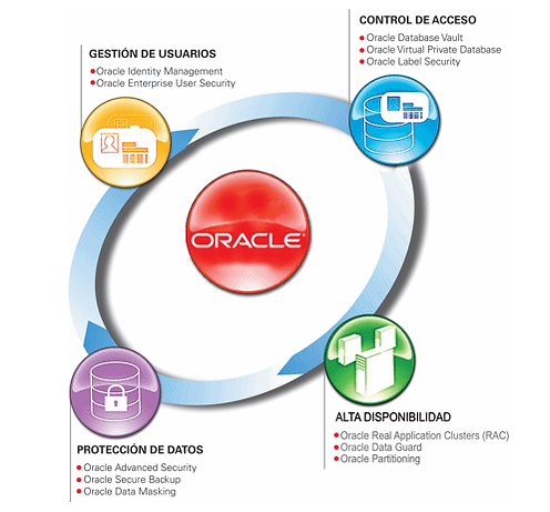 ¿Qué es Oracle? Netec Global Knowledge