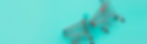 newsletter-homepage.jpg