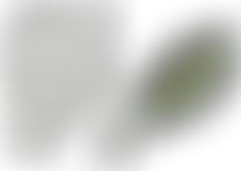 14 Novembre | Piante a Colori | Castelluccio Superiore