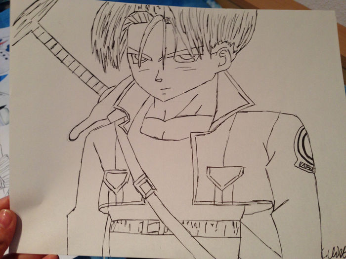 Trunks