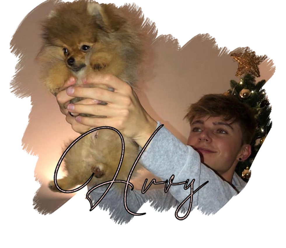 Harvey