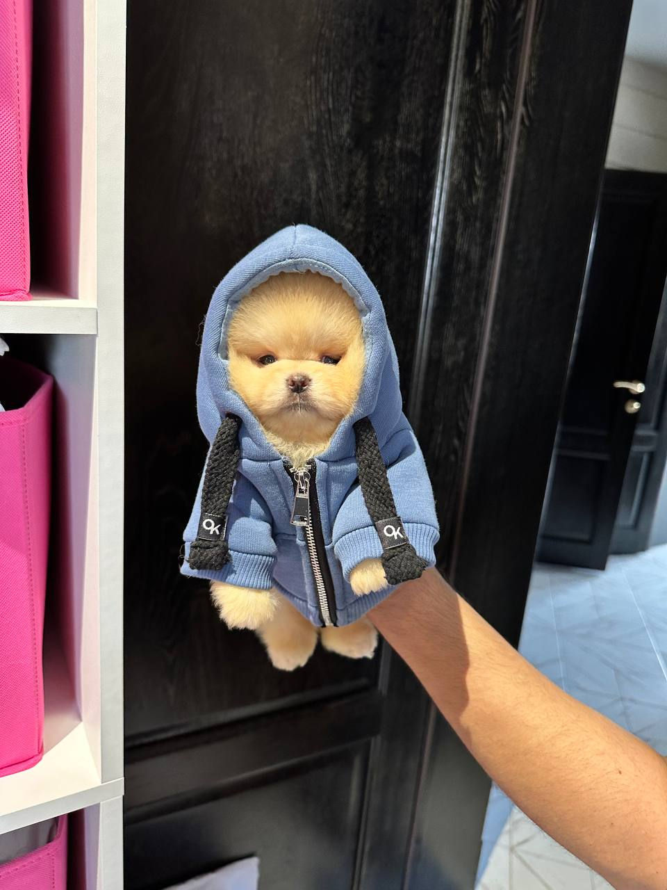 Principessa Fifi - orsacchiotto esclusivo mini ragazza