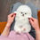 Thumbnail: Elsa - snow - white Pomeranian mini princess, female 