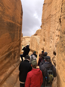 visite de petra en jordanie