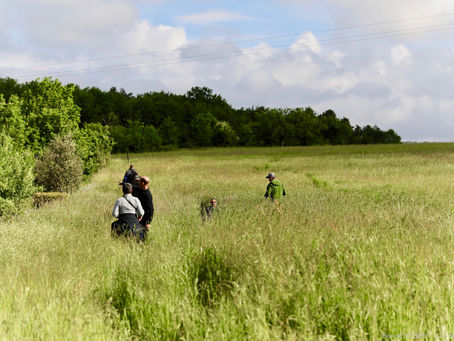 Rewilding en France : Plongez dans l'Aventure Sauvage et Ignorée du Renouveau Naturel !