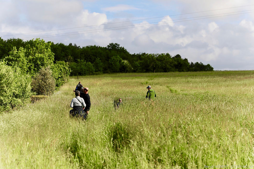 Rewilding en France : Plongez dans l'Aventure Sauvage et Ignorée du Renouveau Naturel !
