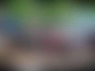 Quelle différence entre bushcraft et survie ?