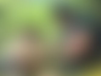 Pourquoi choisir un stage de survie en famille ?