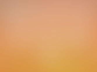 Experience Versus Opinion