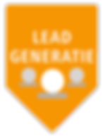 online leadgeneration strategy