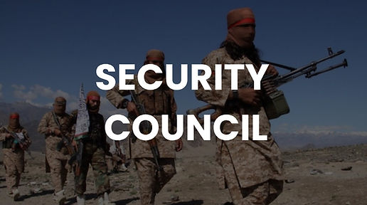 security council imagen.jpg