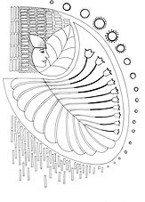Scan 4.jpeg