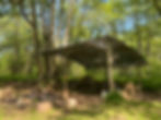 wild-in-the-woods-woodland-workshop-03.JPEG