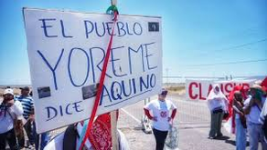 AQUÍ ¡NO! Sigue la lucha