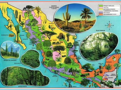 RIQUEZAS DE MÉXICO: TIERRA FERTIL