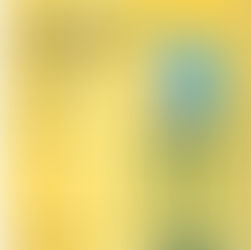 終於成為自己 : 覺察內在原力的完整練習,告別從眾,找到你的第一原理,成就潛藏的真心渴望