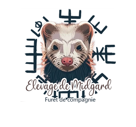 logo furet.png
