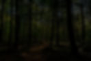 download (3) (2)_edited.jpg