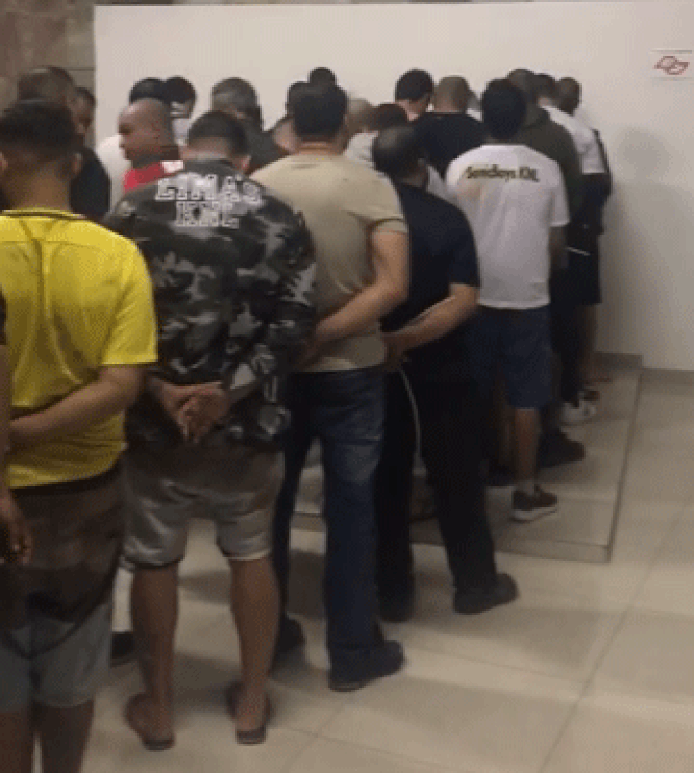 Juiz mantém prisão de apenas 1 dos 41 detidos em rinha de cães em Mairiporã