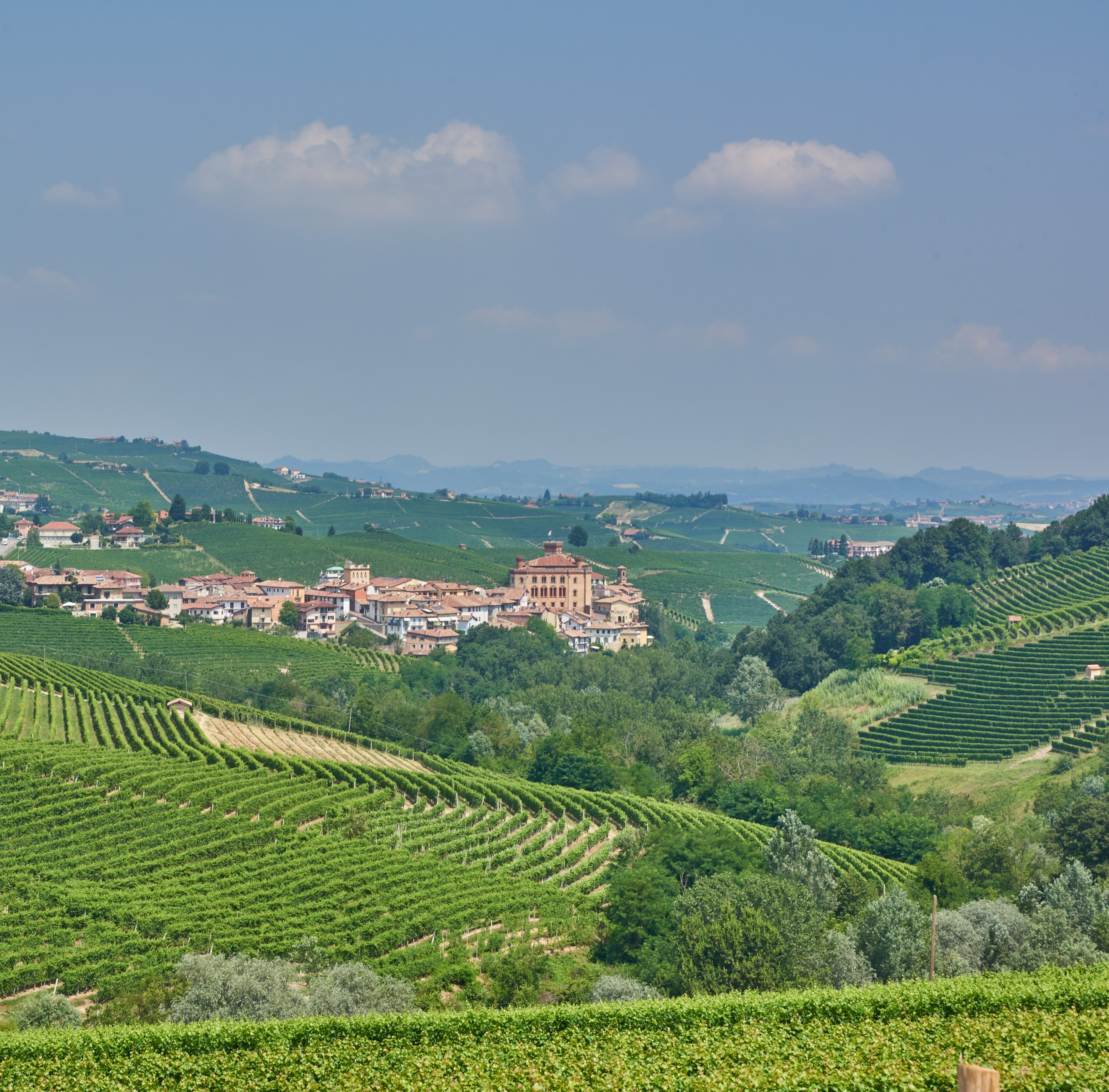 Barolo