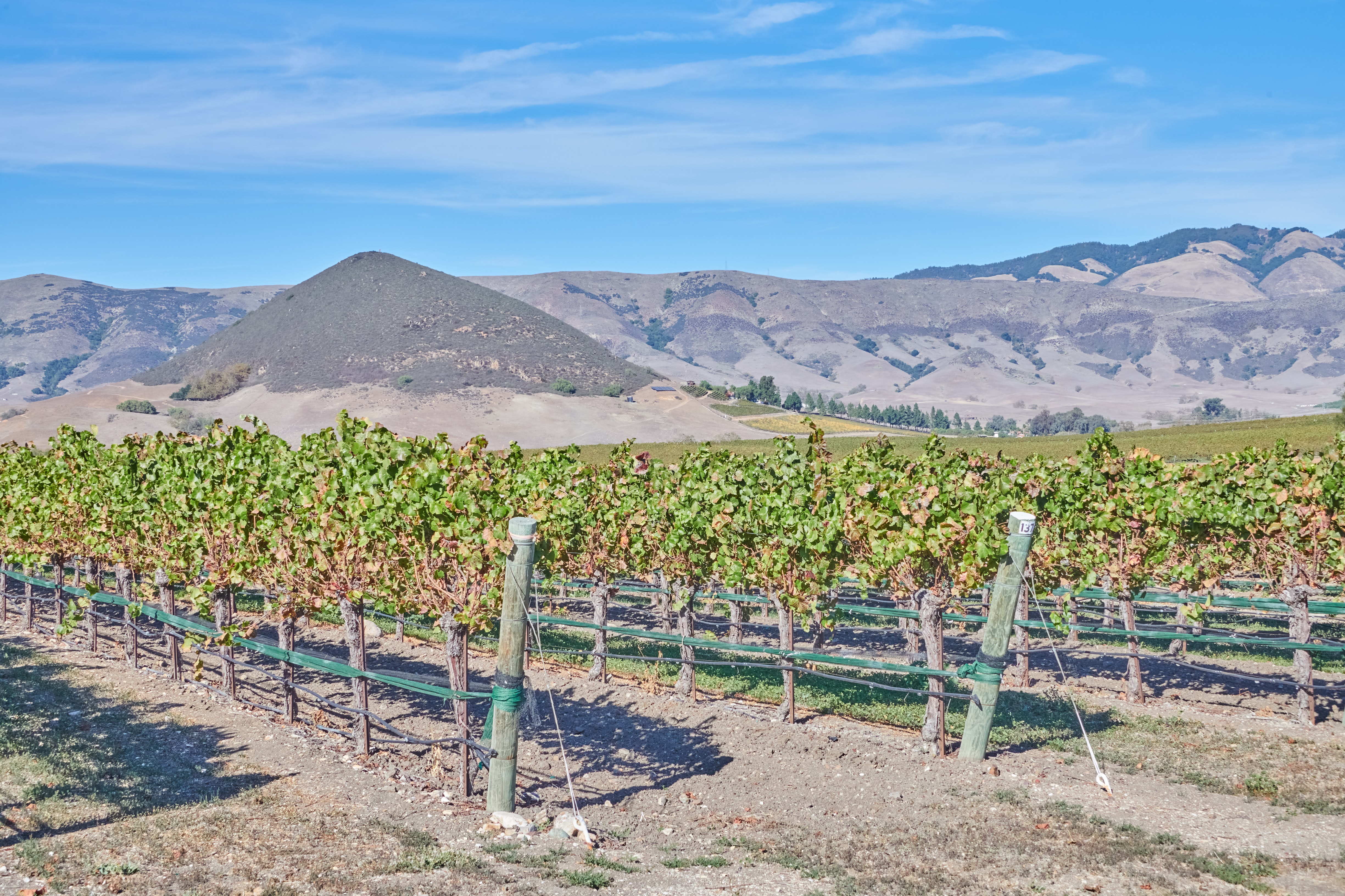 San Luis Obispo