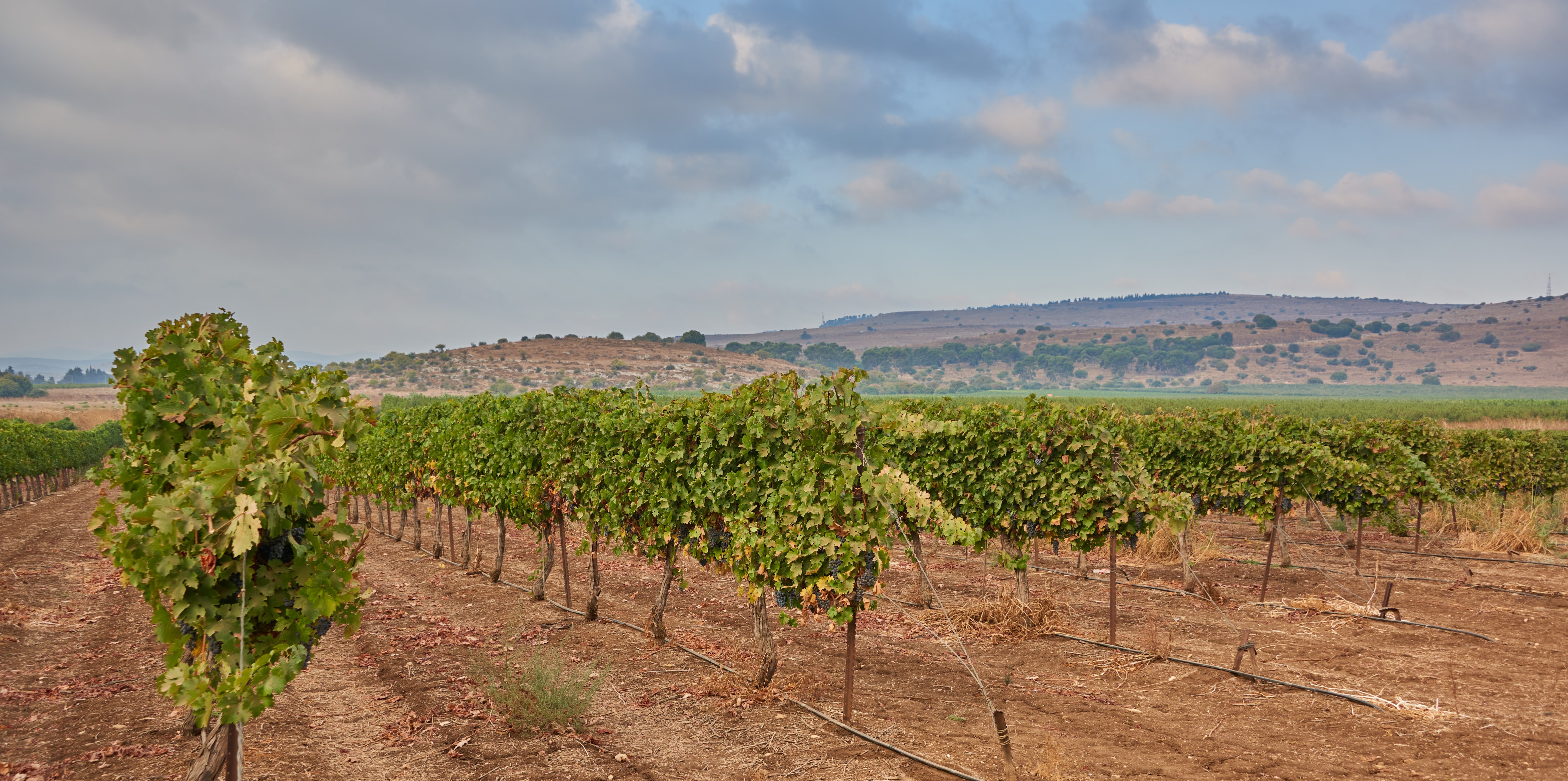 Kadesh Valley