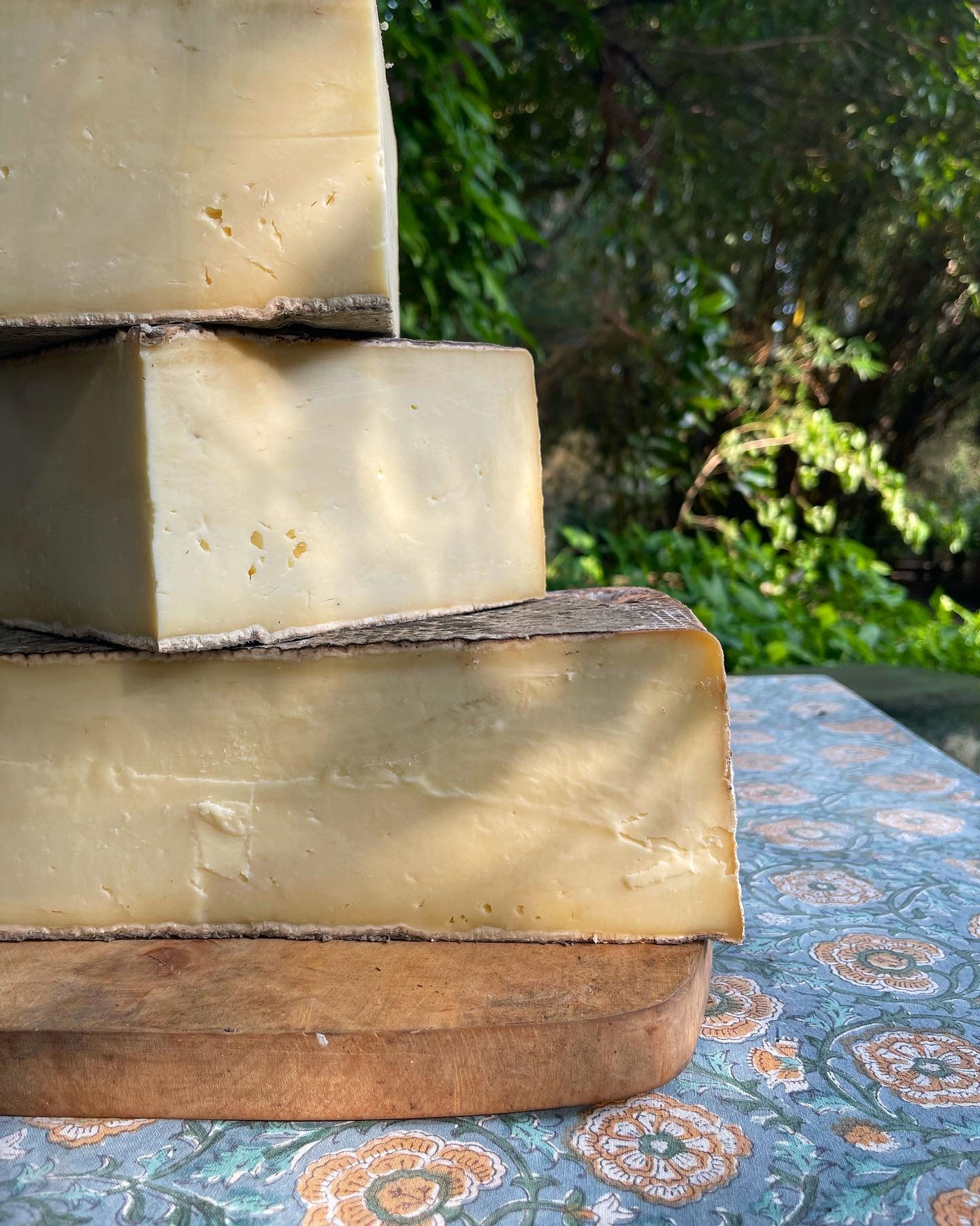Provolone Dolce
