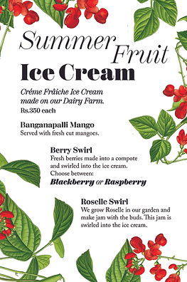 Summer Fruit Ice Cream.jpg