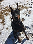 IMG_2602.jpeg