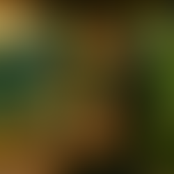 🌿 Dual Liver Cleanse Protocols: Natural Recipes for Inner Renewal