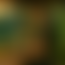 🫐 Blueberry Bliss Smoothie – A Symphony of Antioxidant-Rich Flavors