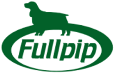 Fullpip - logo.png