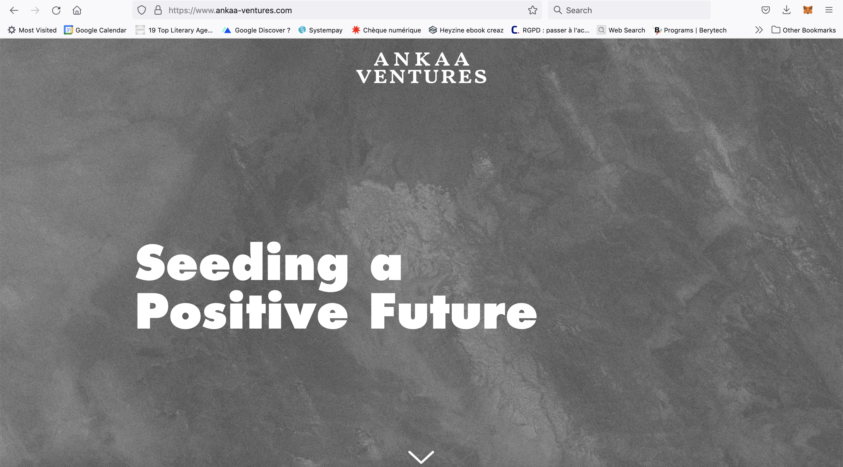 Website design