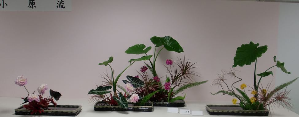 2014　女流華展
