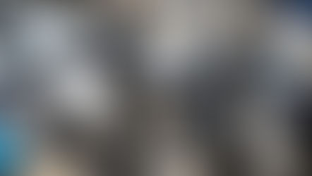 CHaRM Accepted Materials