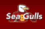 Salisbury University