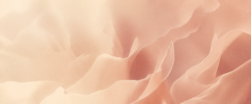 Soft Blurry Motion Photo Concept (1).png