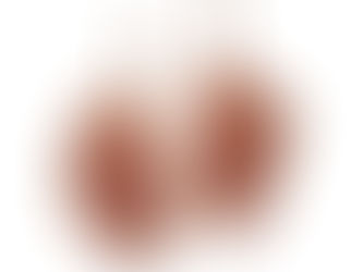 Gem agate earrings set with a pair of rare quality Laguna agates