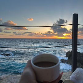 Cacao in sunrise.HEIC