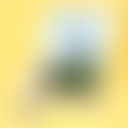 My BIGGEST Adventure