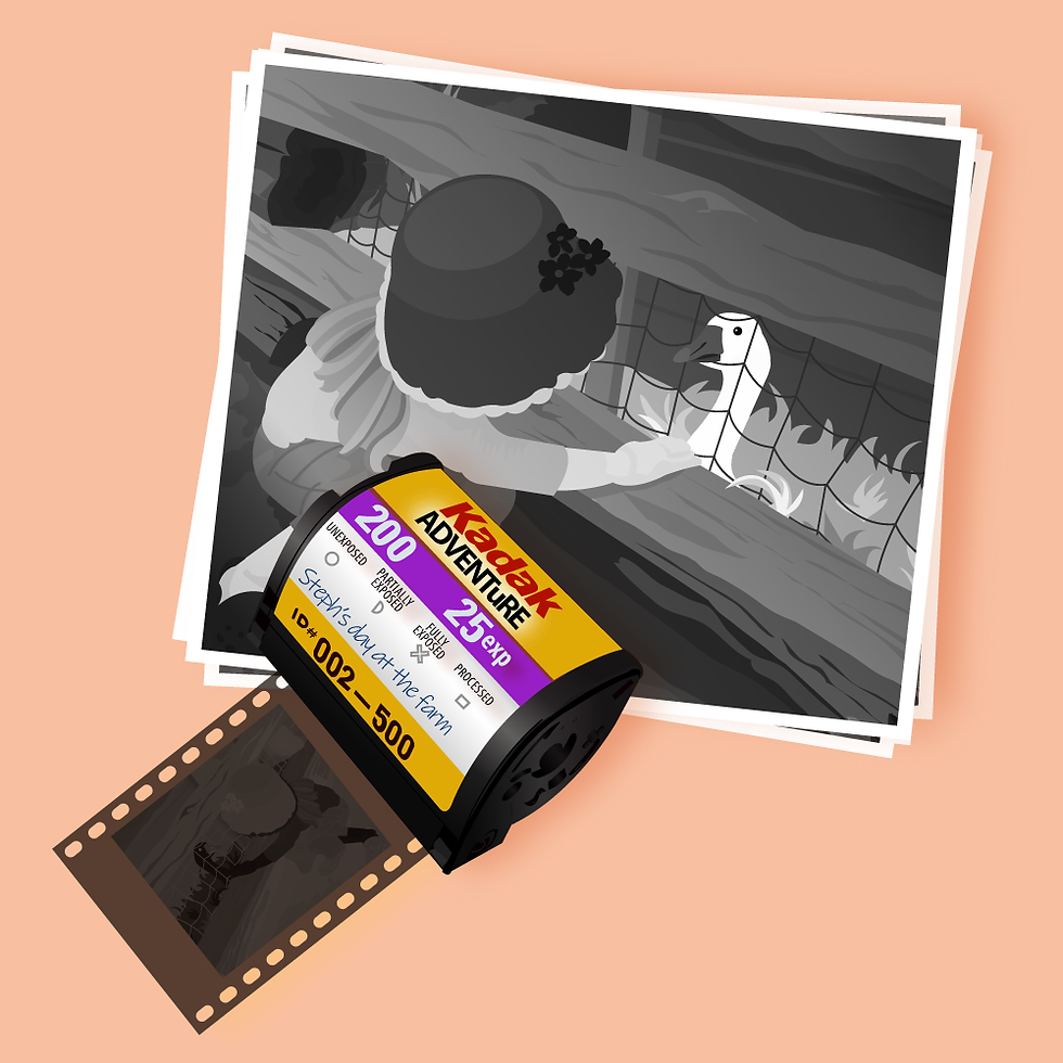 Original digital illustration of film & Ava at the farm