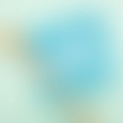 A little artist did this...