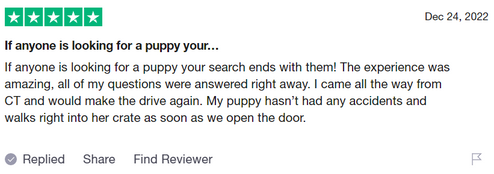 Review 2023-02-17 193415.png
