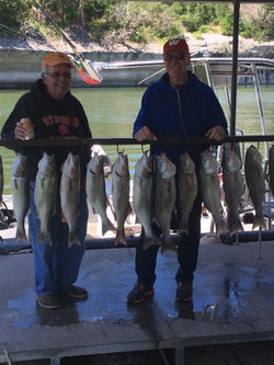 photo may 01, 8 23 41 am