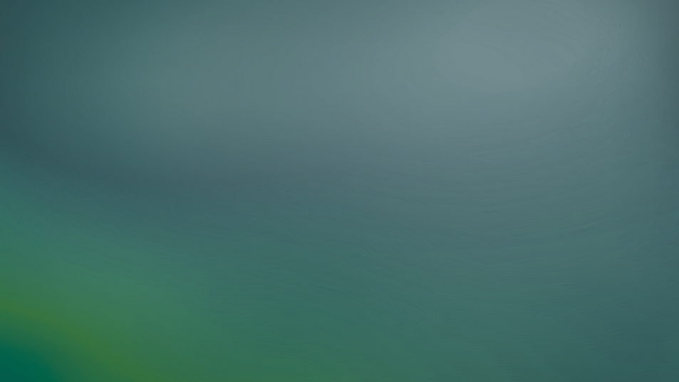 Black and Gray Gradient Professional Presentation (2).png