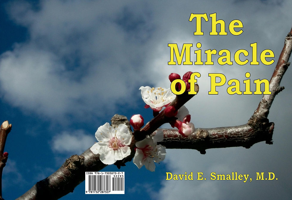 Thumbnail: Book cover close up without author bio