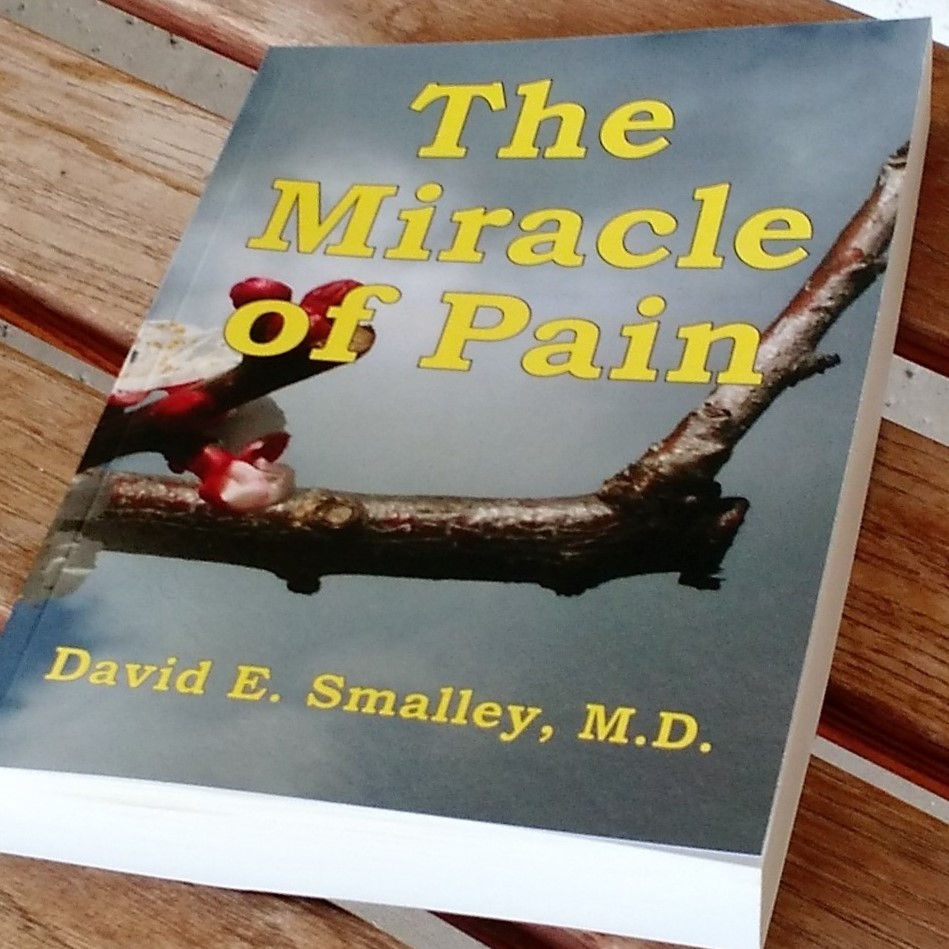 Thumbnail: Paperback book on wooden bench