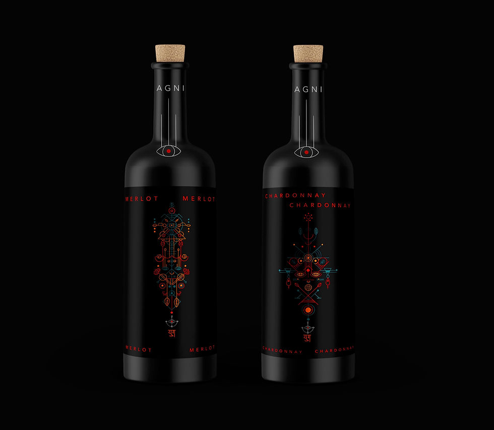 KavyaBhatnagar_FinalPackagedesign (dragg