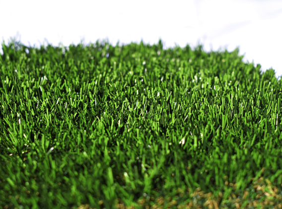 Yavapai Plus (4).JPG